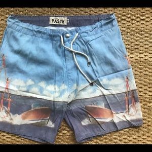 Paste board shorts